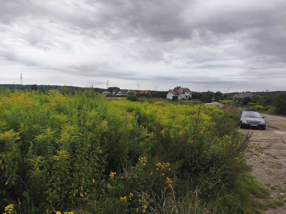 Prestiżowa działka rezydencjonalna 3800 m² z MPZP