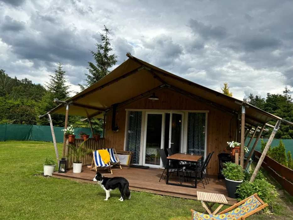 Domki nad jeziorem z linią brzegową i prywatnym pomostem