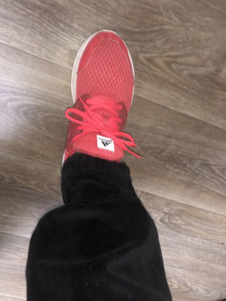 Adidas CloudFoam 36 5 350 Olx