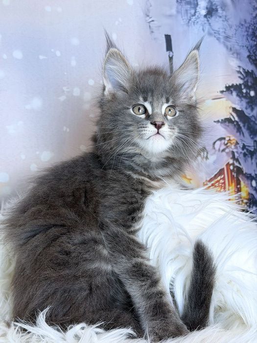 Милий малюк мей  кун