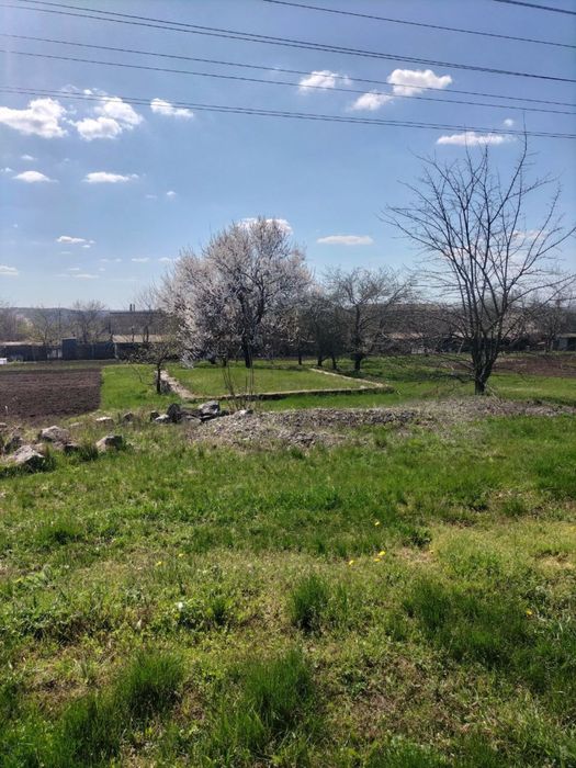Продам земельну ділянку Велика Багачка Полтавська обл
