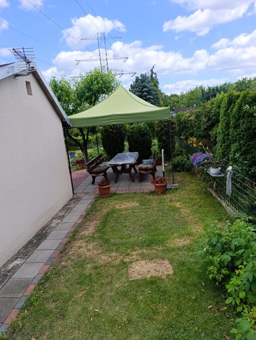 Sprzedam Ogródek działkowy Podwale/ Warpie/Do negocjacji - Widok 3
