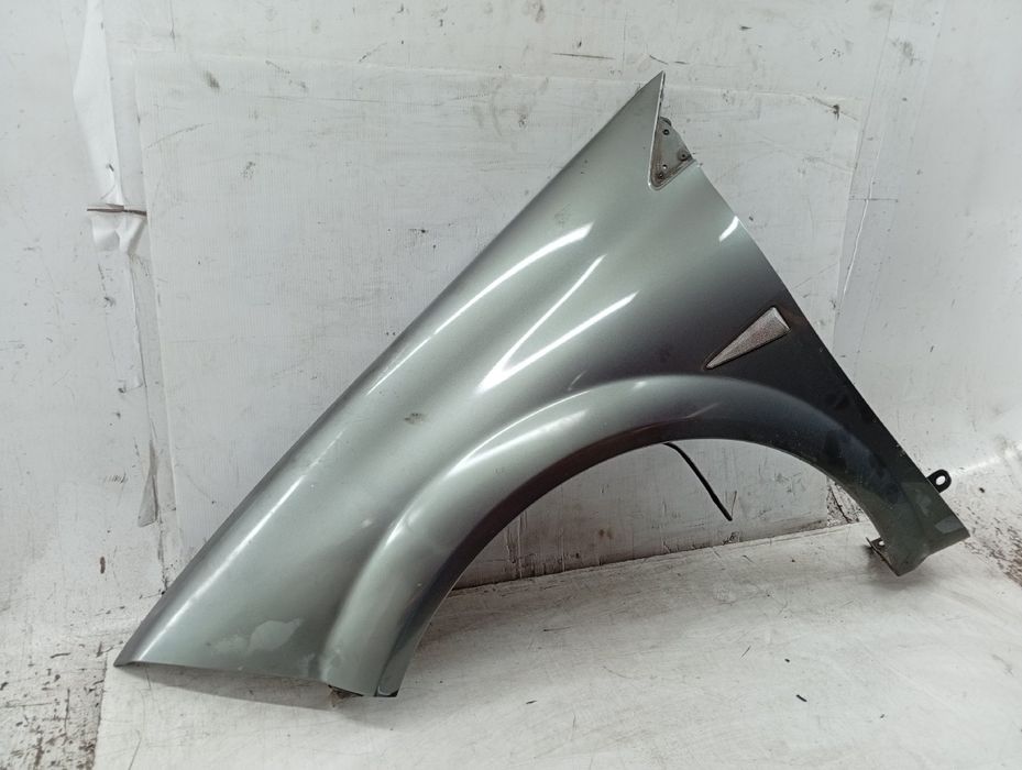 Guarda Lamas Esquerdo - RENAULT Megane II (BM0/1_, CM0/1_) | 01 - 12