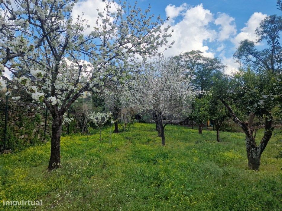 Quinta - Reguengo e São Julião - Um refúgio entre o campo e a serra!