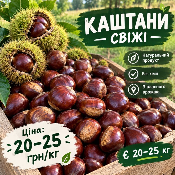 Каштани  домашні продаж