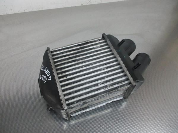 Radiador do intercooler RENAULT Megane I (BA0/1_)