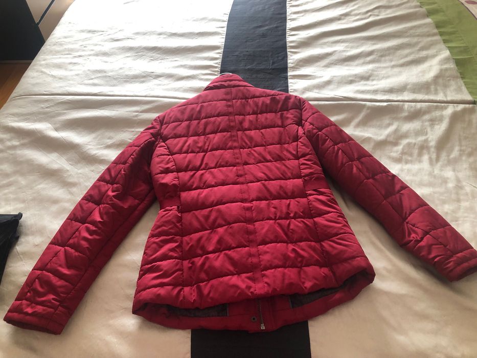 Kispo Lion of Porches! Imperdível