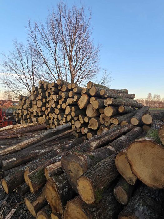 DĄB, BUK, GRAB, BRZOZA - piękne drewno opałowe kominkowe, 2,5m OKAZJA!