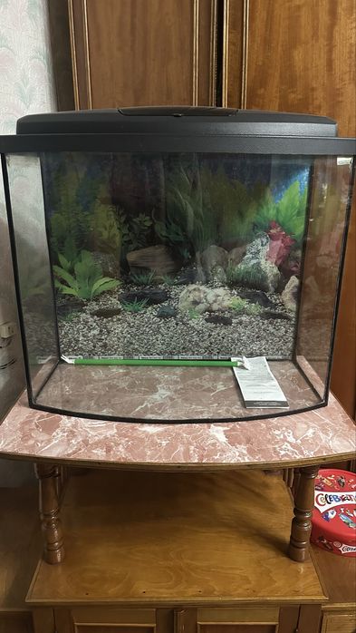 Великий акваріум