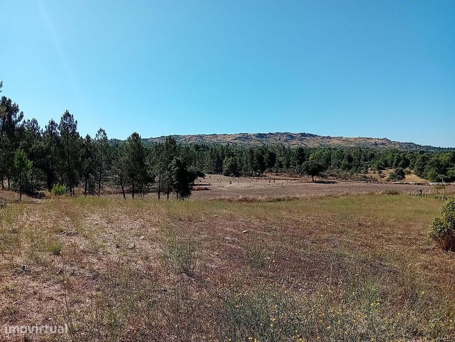Terreno  para venda — Beselga, Viseu