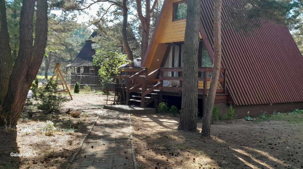 Sosnowe domki do wynajęcia  Kobyla Góra