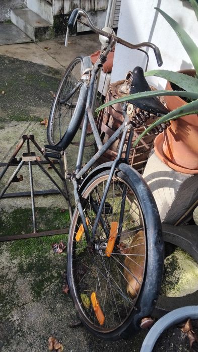 Pasteleira - Bicicleta