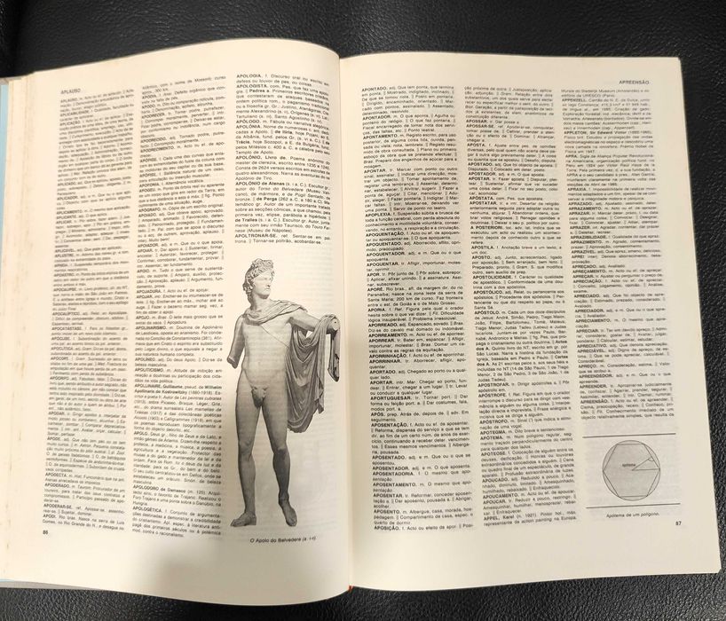 Livros - Enciclopédia da Língua Portuguesa - 2 Volumes
