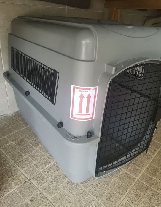 Transportadora como nova