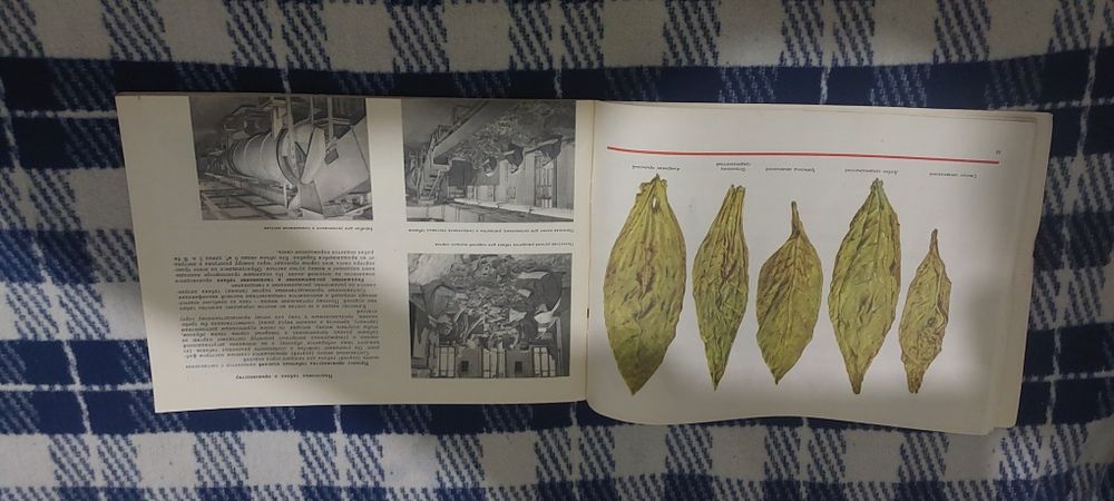 Каталог табак и табачные изделия