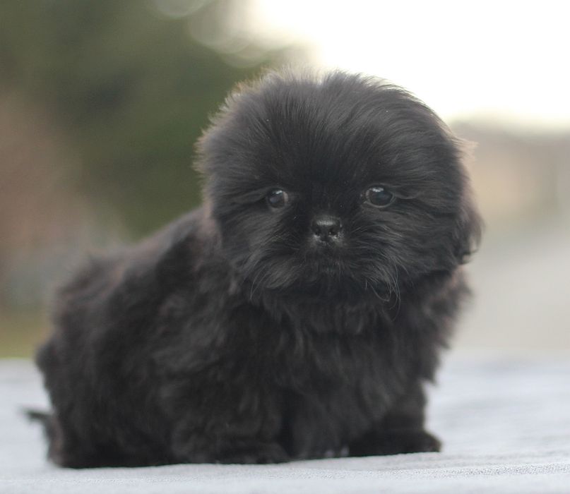 Лялькова дівчинка невеликого розміру