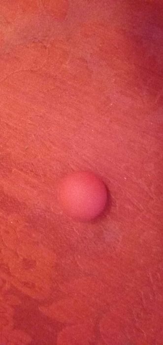 Morcego!-Mascara insuflável Morcego-5E-Retrosaria-Atacador E.2EDesde2E