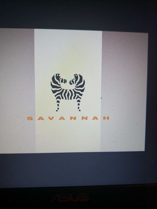 Gra PC Zwariowany czarodziej Savannah