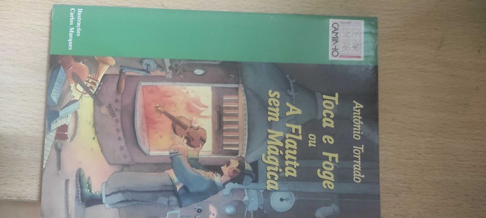 O casamento da minha mãe (+ vários titulos infantis e juvenis)