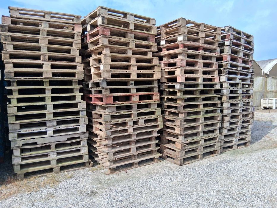 Paletes de Madeira