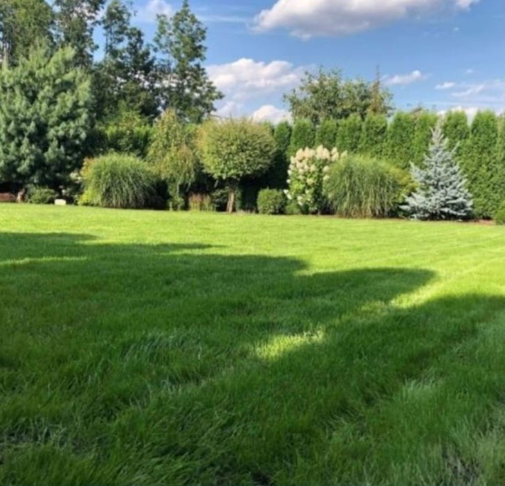 Trawnik,drenaż,utwardzenie terenu,budowa dróg,ogrodzenia panelowe