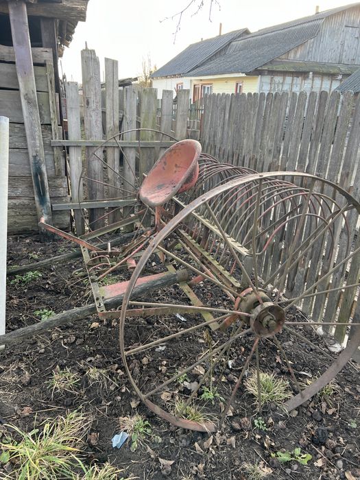 Кінська гребачка