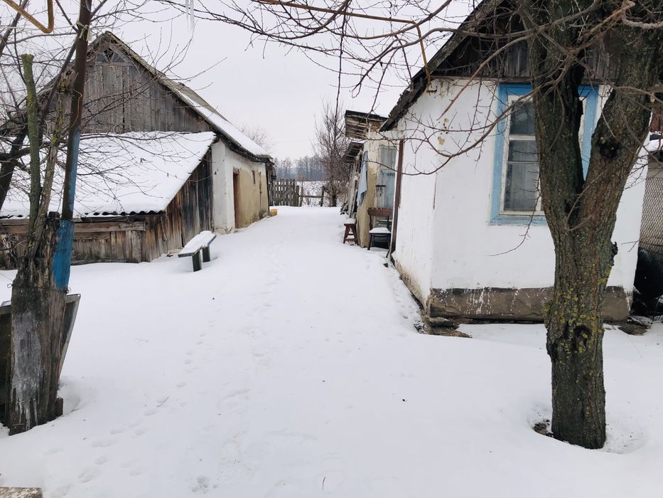 Продам будинок Козин