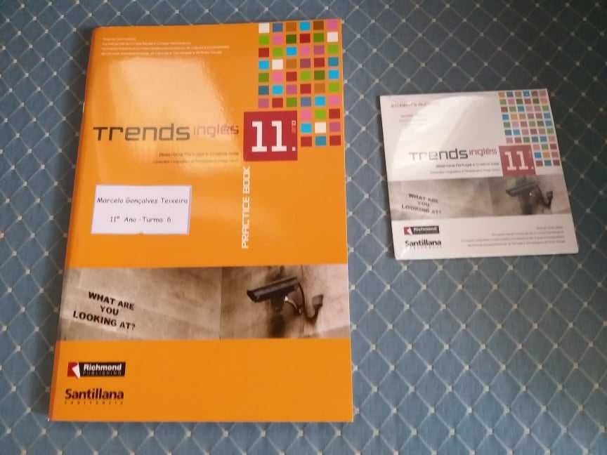 Trends Inglês  11º