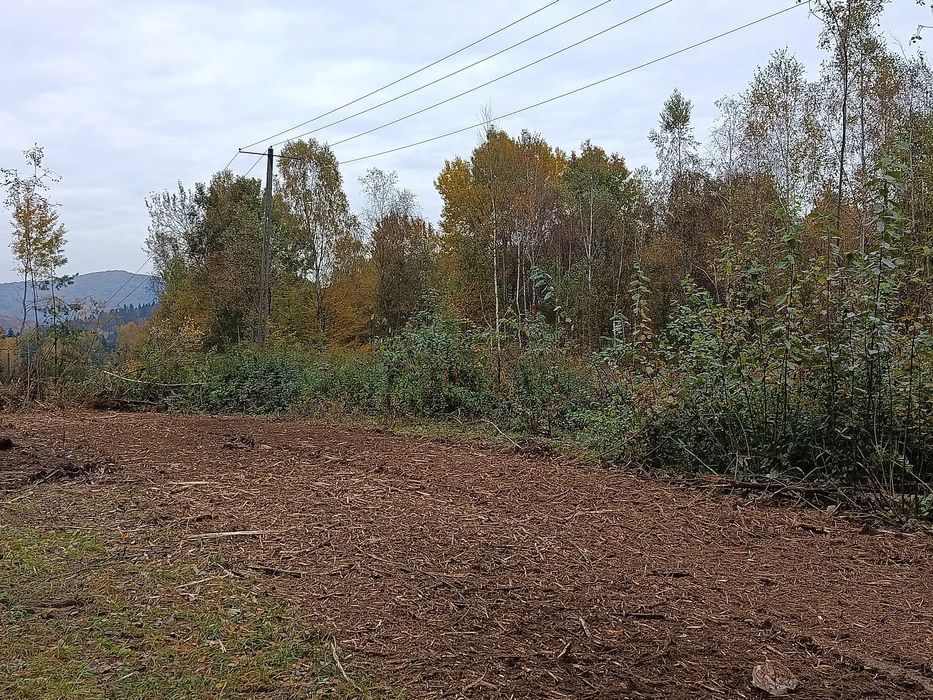 Mulczer leśny / wycinka drzew / mulczerowanie / czyszczenie działek