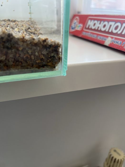 Акваріум квадратний