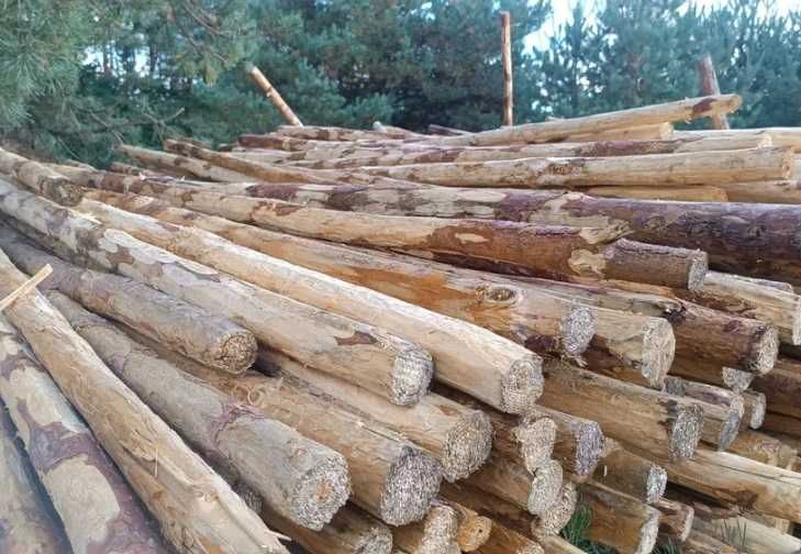 Stemple, Paliki, Slupki, Okrąglaki  NOWE 2,6m, 3m-4m Transport GRATIS