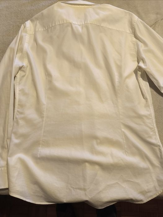 Camisa Lion of Porches