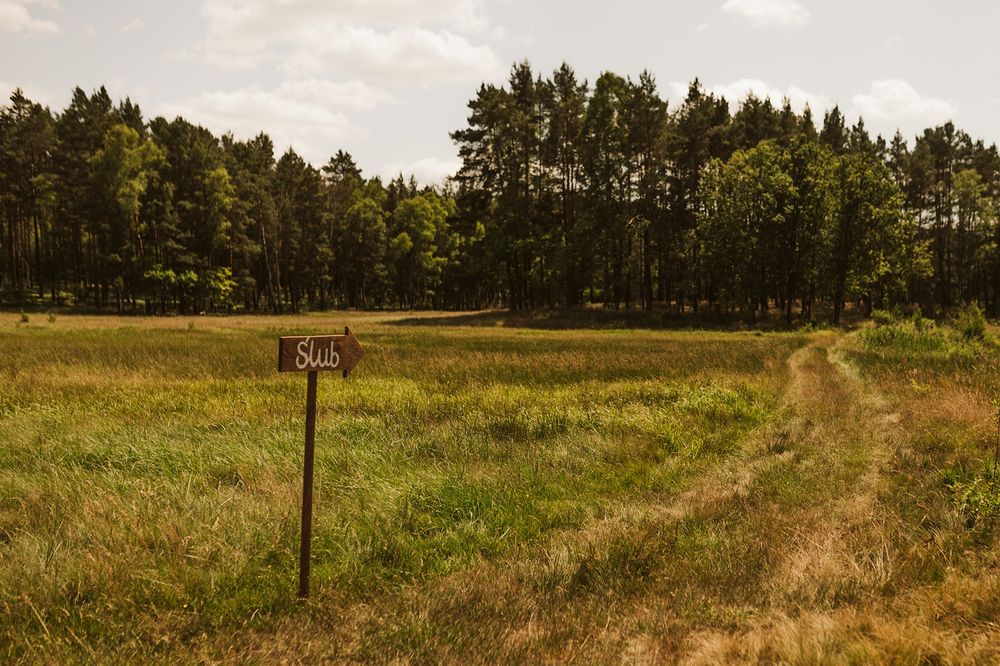 Ślub kierunkowskaz / znak