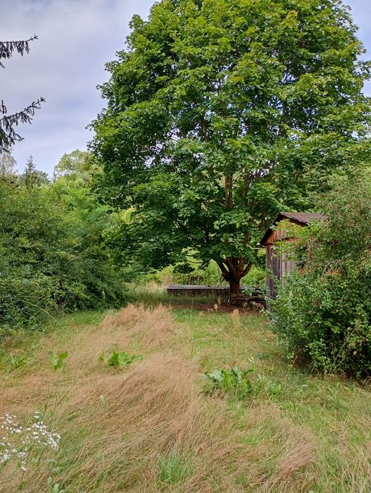 Piękna działka budowlana z planem miejscowym.