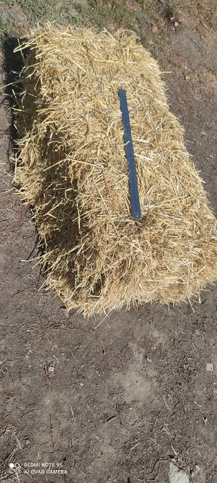 Солома в тюках ячня 80гр.