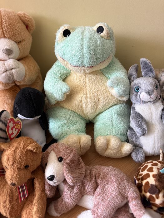 Ty ту ведмідь верблюд жаба мішка качка