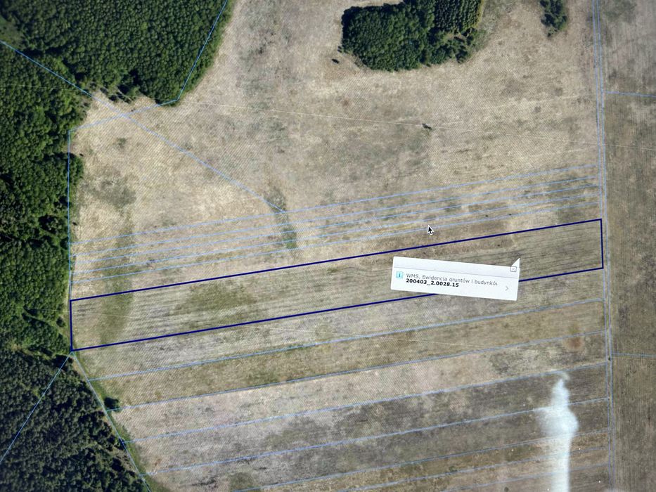 Sprzedam łąke o powierzchni 4,20ha