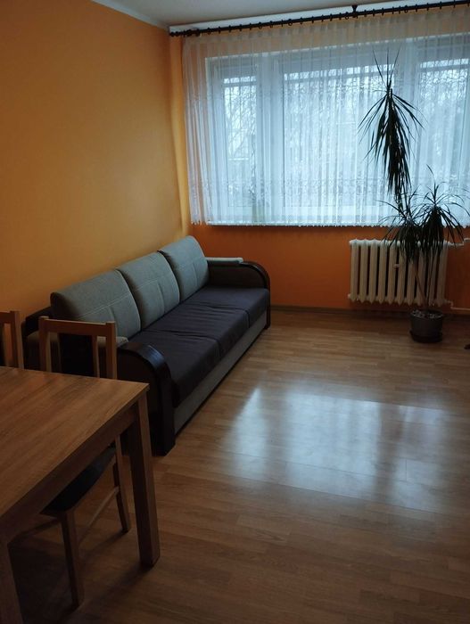 Mieszkanie na wynajem