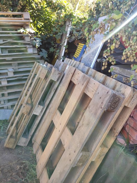 Palety jasne jednorazowe / max / amerykanki