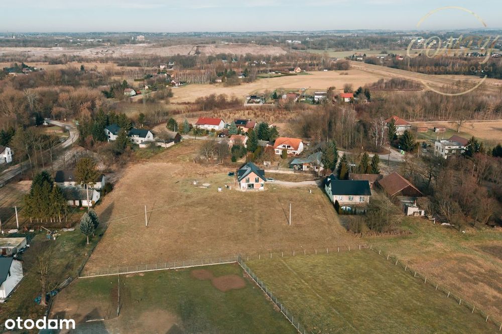Zdjęcie 8