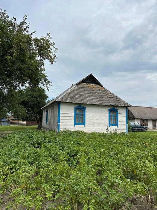 Продається будинок с. Небелиця (Київська обл.)