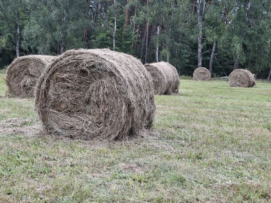 sprzedam bele rozmiar 120