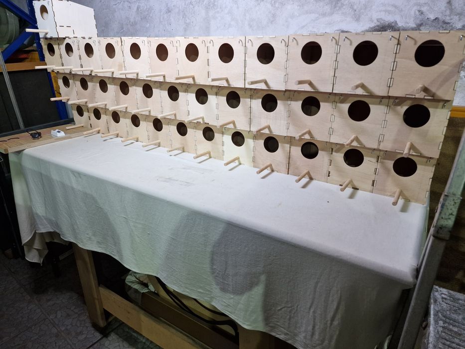 Ninhos de qualidade para diamante gold