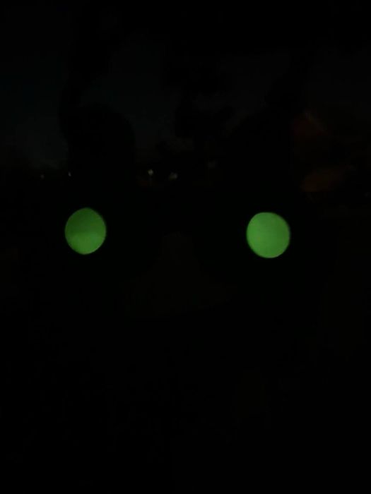 ПНВ-57Е прилад нічного бачення.