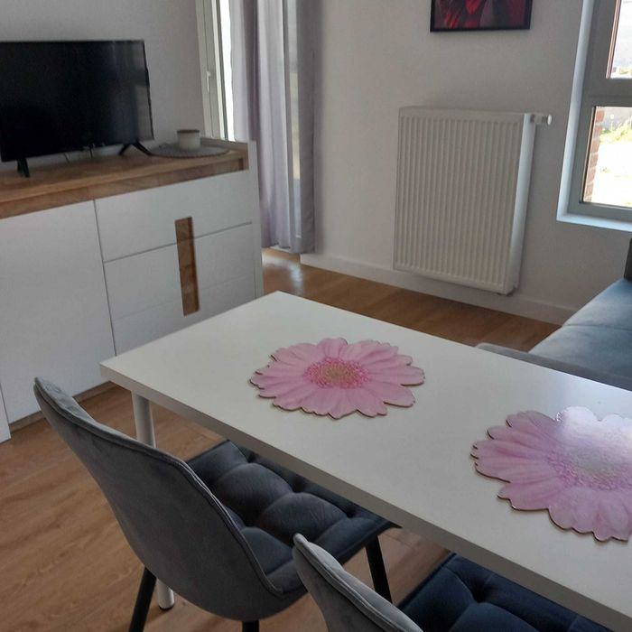 Mam na wynajem mieszkanie Gdansk,Srodmiescie,ul.Popieluszki
