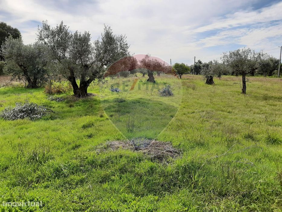 Terreno  para venda — Pelariga, Leiria