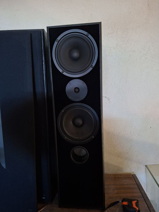 Kino domowe,.eltax,axton