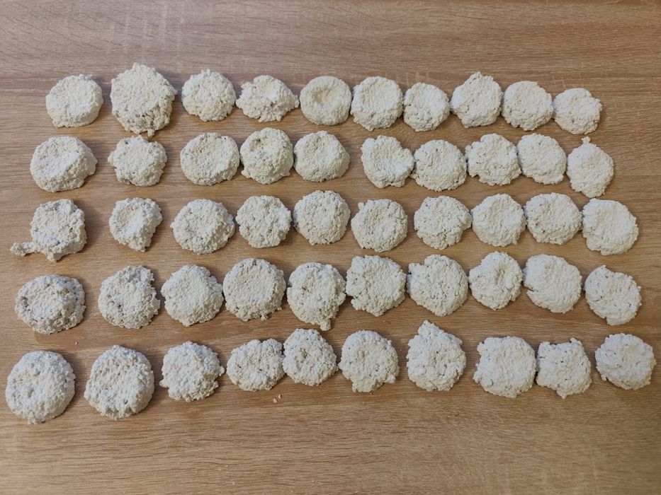 Podstawki pod koralowce  50 szt