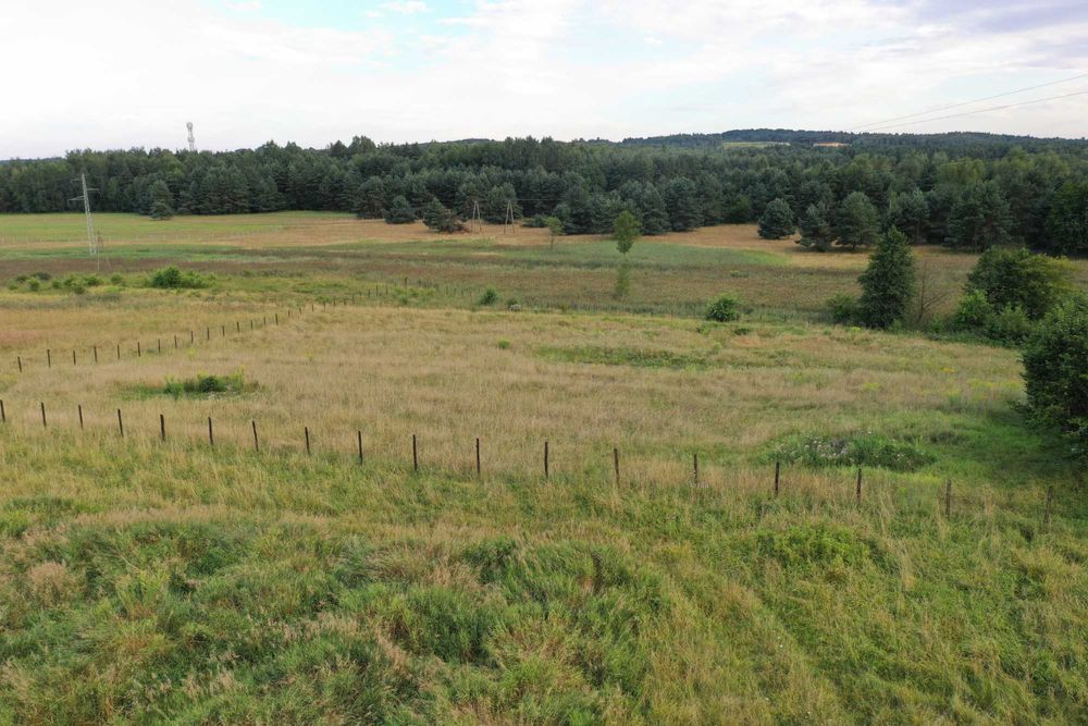 Działka Budowlana Piła Kościelecka