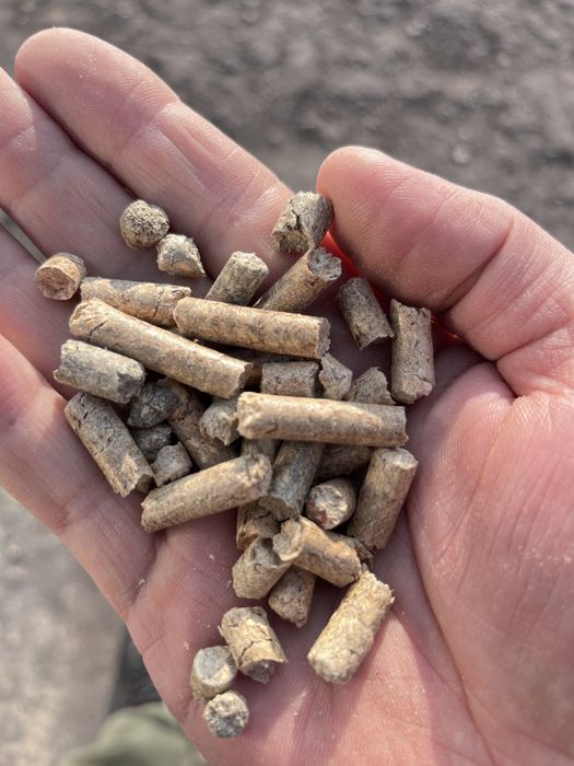 Пелета паливна гранула